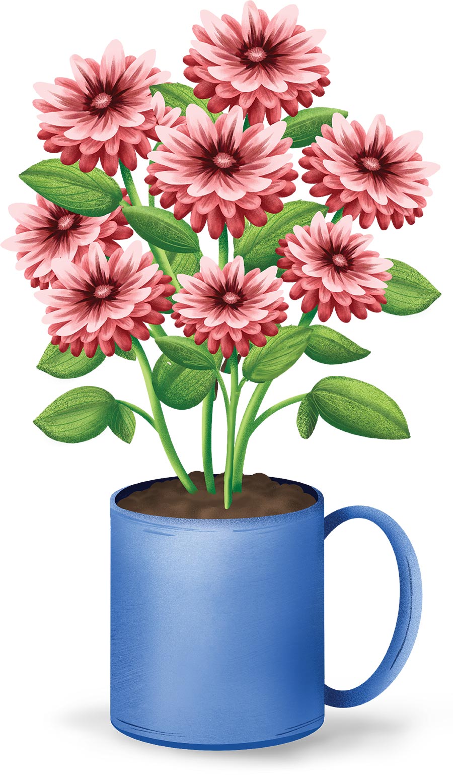 A lush cluster of many pink flowers and green leaves growing in a blue ceramic mug.