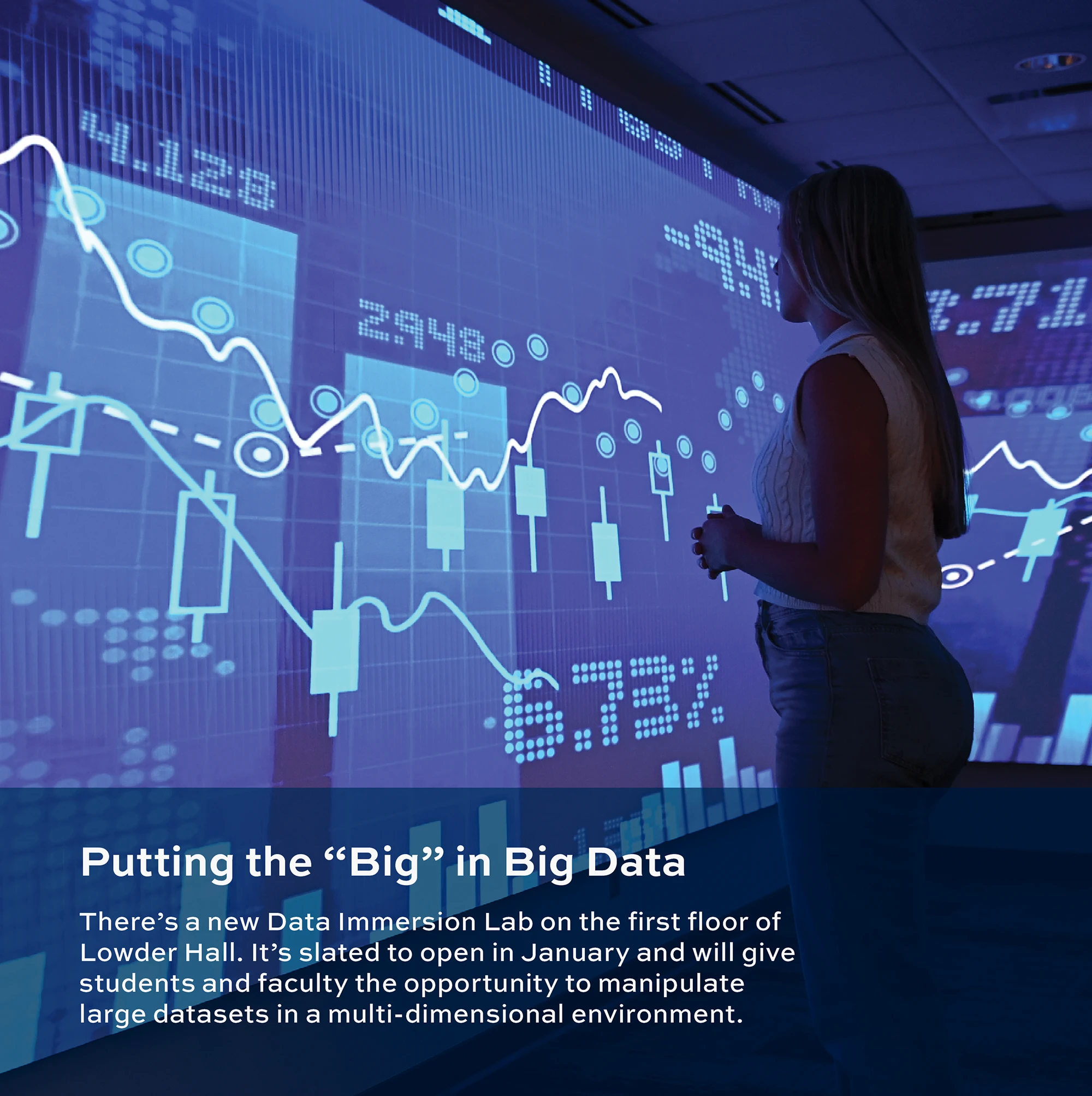 Big Data Advertisement