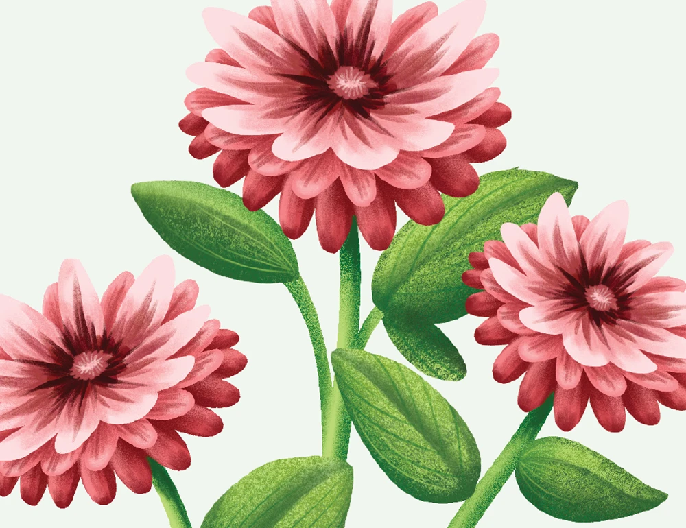 Illustration of pink flowers with green leaves on a light background.